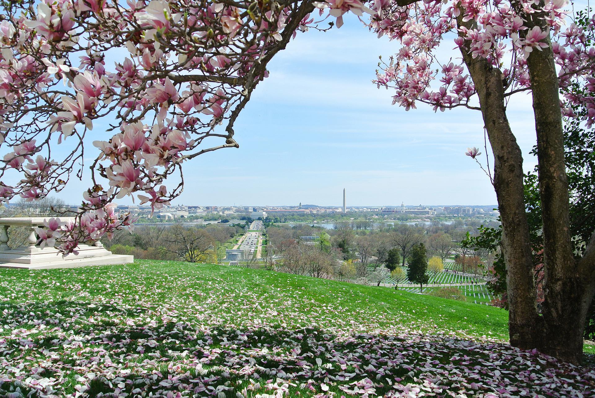 Arlington Background Checks - background-check-featured-image