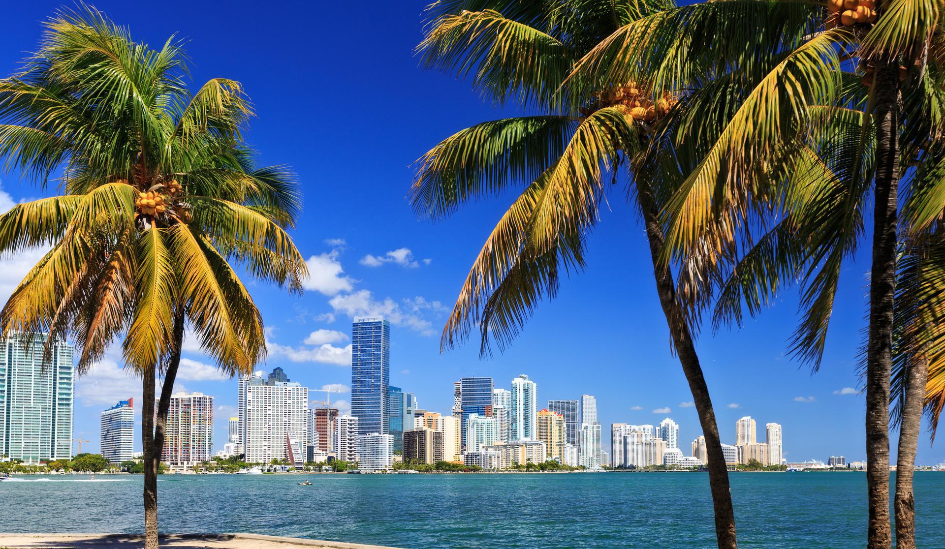 Miami Background Checks Miami Background Checks - background-check-featured-image