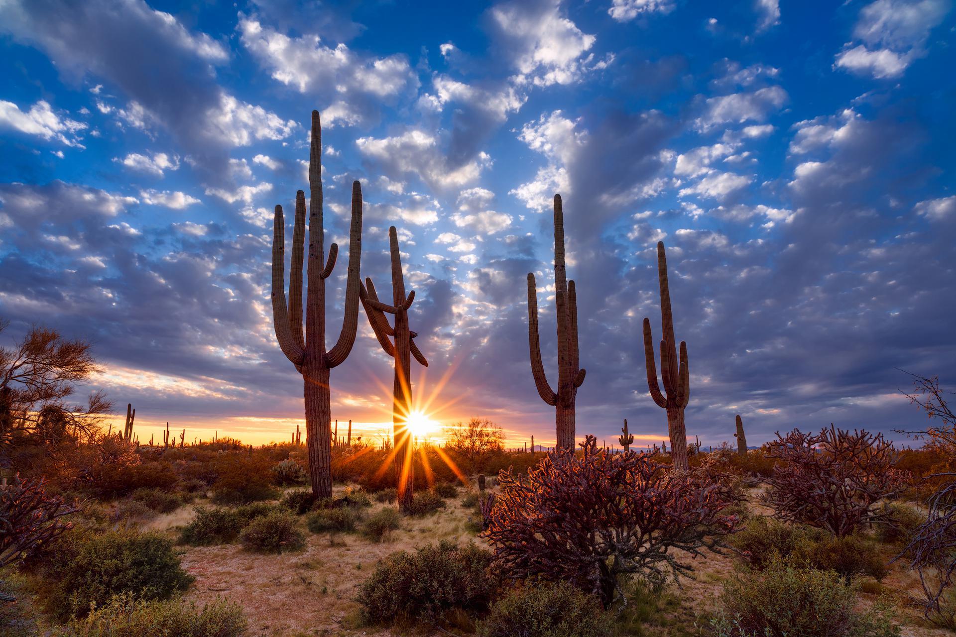 Phoenix Background Checks | Health Street