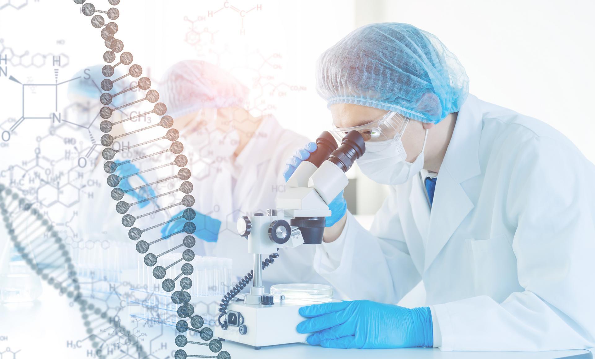 Understanding DNA Results - featured