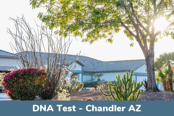 Chandler AZ DNA Testing Locations