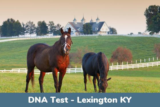 Lexington KY DNA Testing Locations