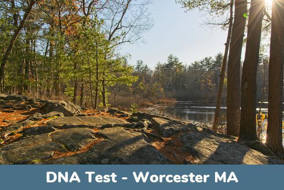 Worcester MA DNA Testing Locations