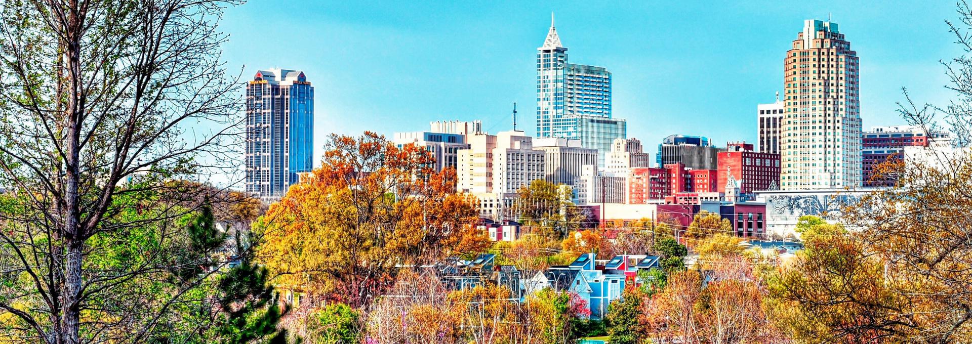 Raleigh Raleigh -