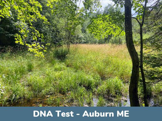 Auburn ME DNA Testing Locations