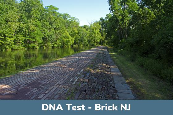 Brick NJ DNA Testing Locations