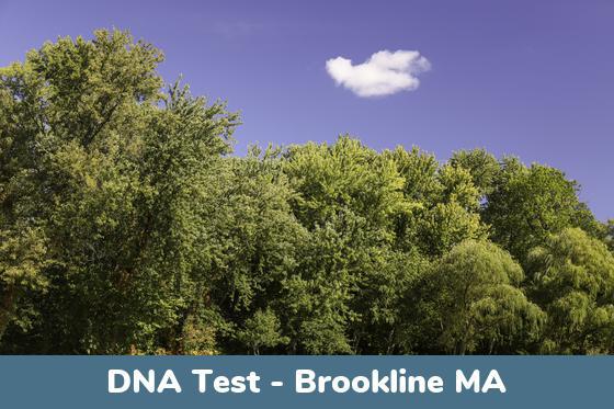 Brookline MA DNA Testing Locations