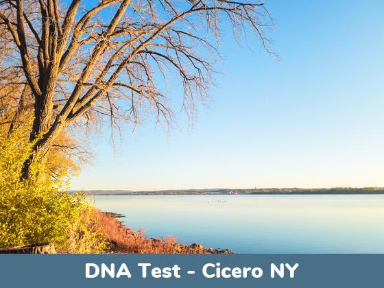 Cicero NY DNA Testing Locations