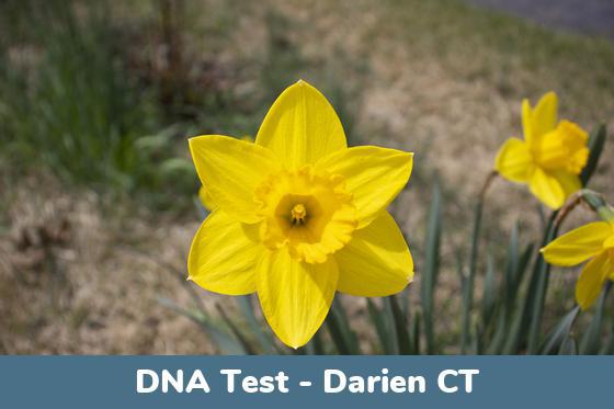 Darien CT DNA Testing Locations