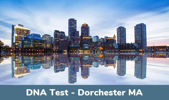 Dorchester MA DNA Testing Locations