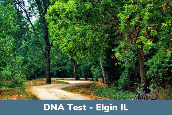 Elgin IL DNA Testing Locations