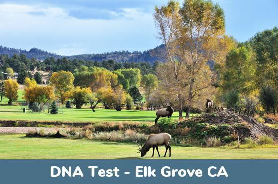 Elk Grove CA DNA Testing Locations