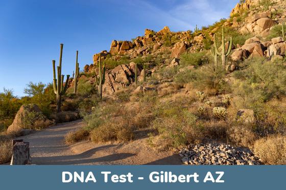 Gilbert AZ DNA Testing Locations