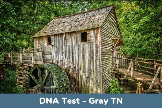 Gray TN DNA Testing Locations