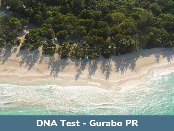 Gurabo PR DNA Testing Locations