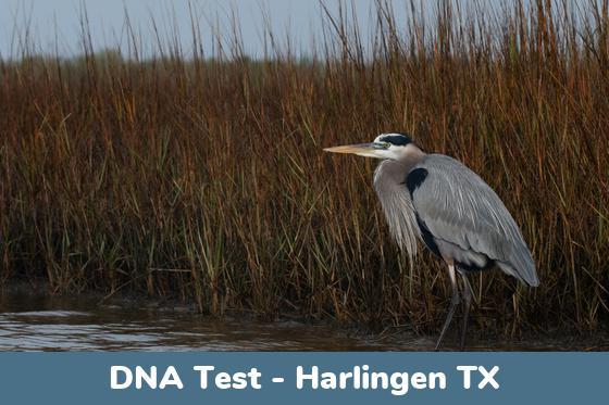 Harlingen TX DNA Testing Locations