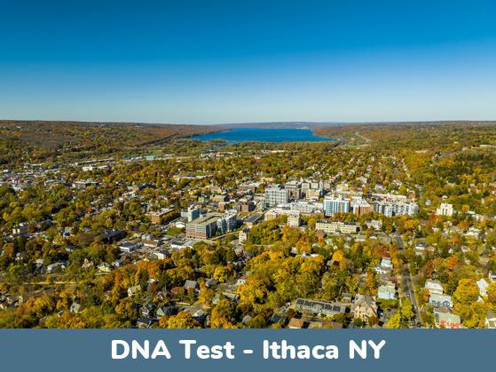 Ithaca NY DNA Testing Locations
