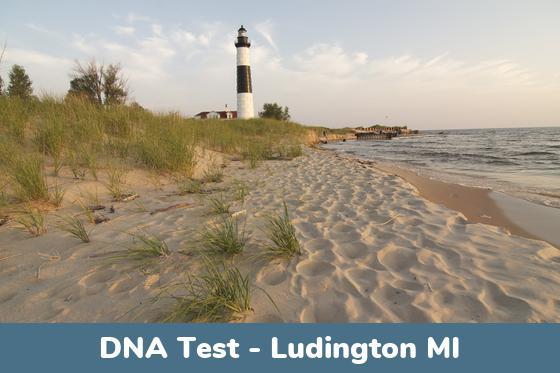 Ludington MI DNA Testing Locations