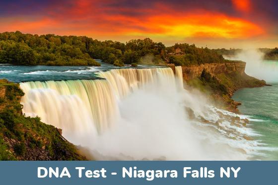 Niagara Falls NY DNA Testing Locations