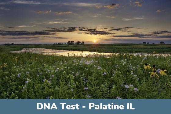 Palatine IL DNA Testing Locations