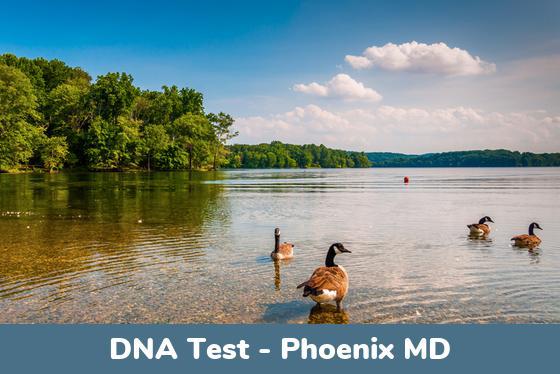 Phoenix MD DNA Testing Locations