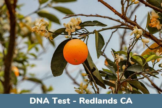 Redlands CA DNA Testing Locations