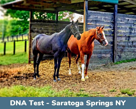 Saratoga Springs NY DNA Testing Locations