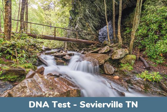 Sevierville TN DNA Testing Locations