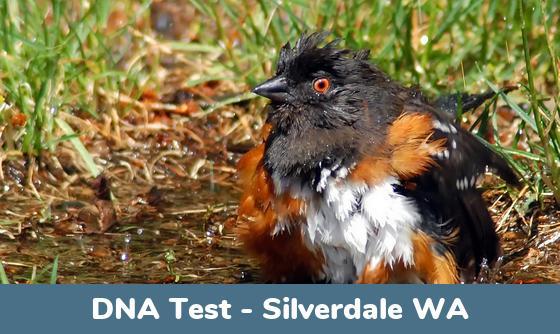 Silverdale WA DNA Testing Locations