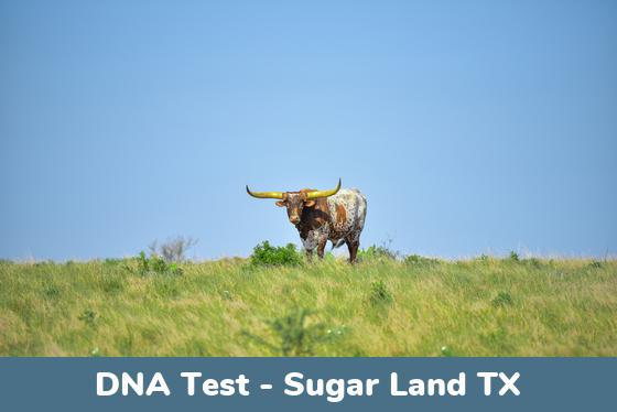 Sugar Land TX DNA Testing Locations