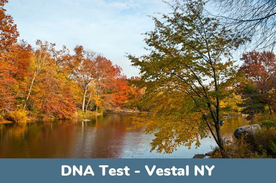 Vestal NY DNA Testing Locations