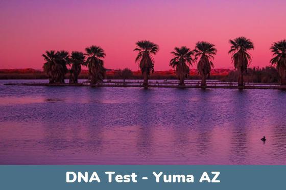 Yuma AZ DNA Testing Locations