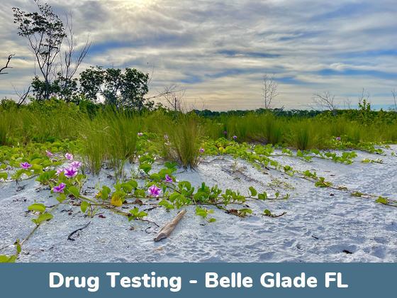 Belle Glade FL Drug Testing Locations