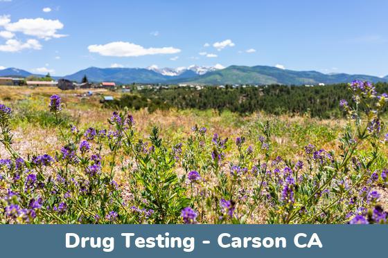 Carson CA Drug Testing Locations