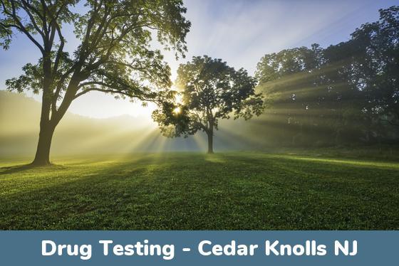 Cedar Knolls NJ Drug Testing Locations