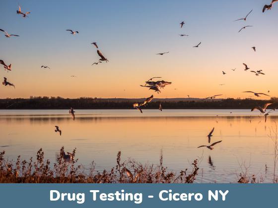 Cicero NY Drug Testing Locations