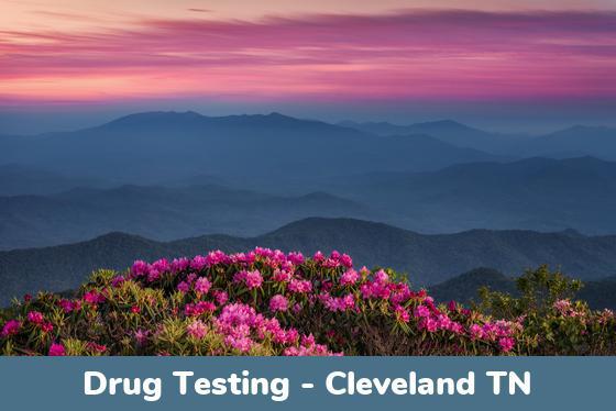 Cleveland TN Drug Testing Locations