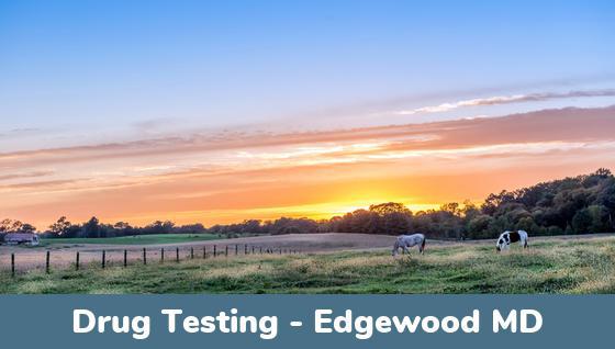 Edgewood MD Drug Testing Locations