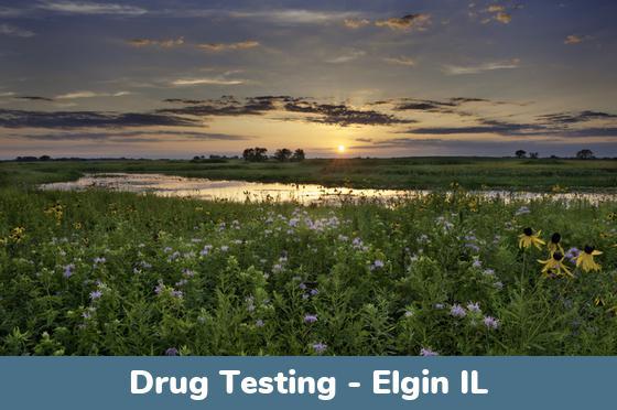 Elgin IL Drug Testing Locations