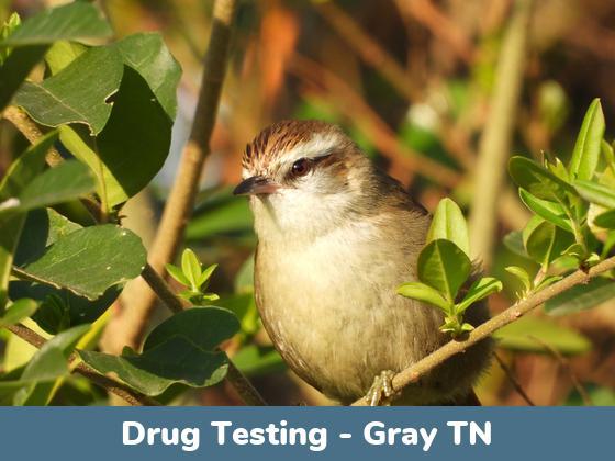 Gray TN Drug Testing Locations
