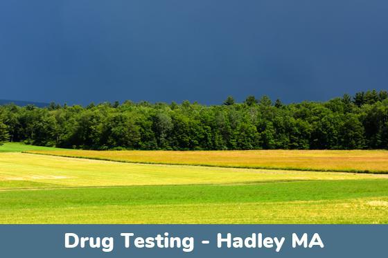 Hadley MA Drug Testing Locations