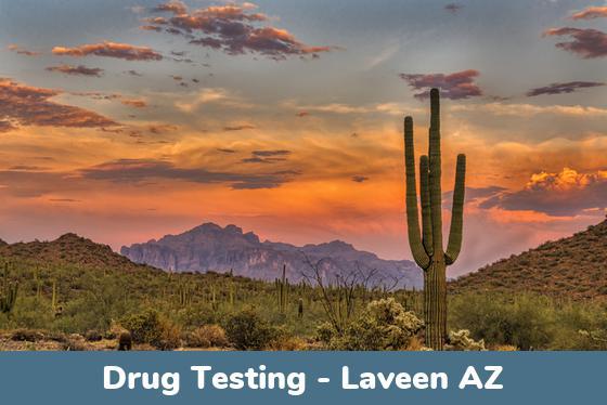Laveen AZ Drug Testing Locations