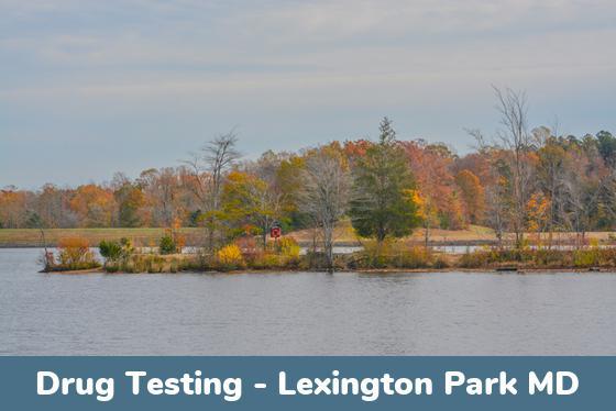 Lexington Park MD Drug Testing Locations