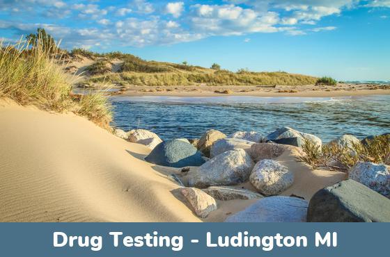 Ludington MI Drug Testing Locations