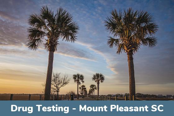 Mount Pleasant SC Drug Testing Locations