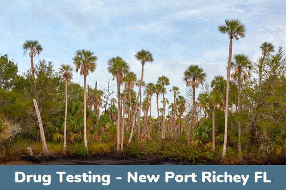 New Port Richey FL Drug Testing Locations