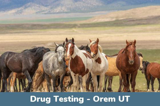 Orem UT Drug Testing Locations