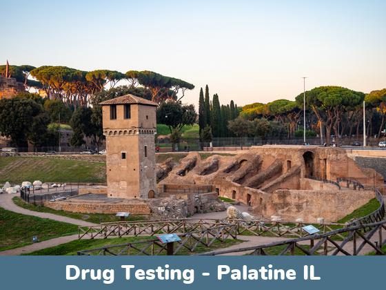 Palatine IL Drug Testing Locations