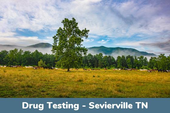 Sevierville TN Drug Testing Locations