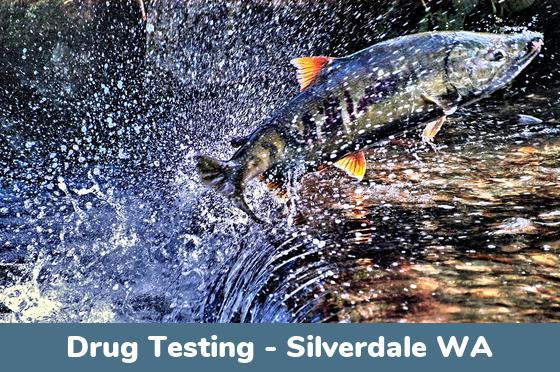 Silverdale WA Drug Testing Locations